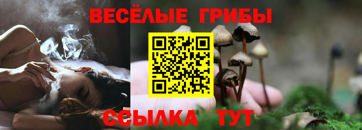 Светлоград  Галлюциногенные грибы GOLDEN TEACHER  Вход с VPN  Галлюциногенные грибы Psilocybe 